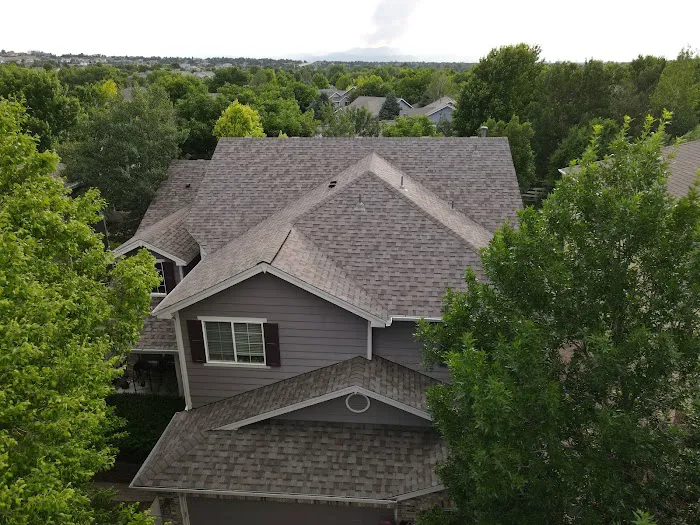 Ninja Roofs Picture 2