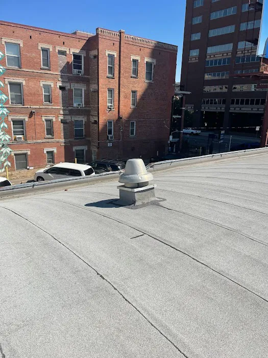 Ninja Roofs Picture 10