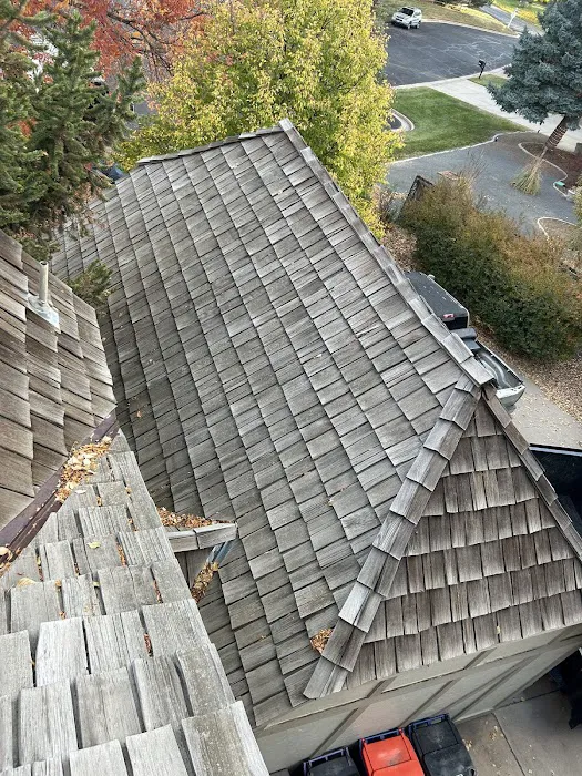 Mighty Dog Roofing of South Denver Picture 2