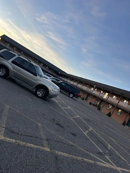 Mighty Dog Roofing of South Denver Picture 3