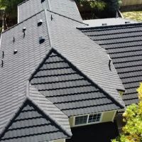 New Roof Plus ico