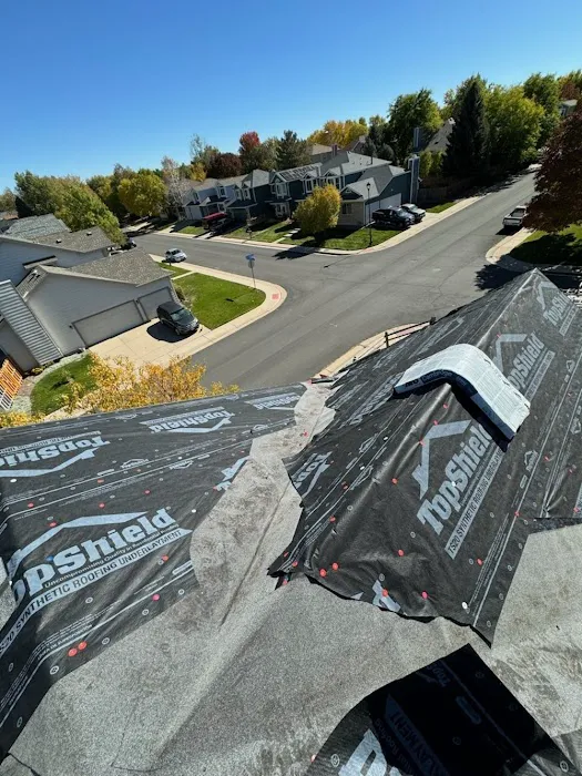 Falcon's Eye Roofing Picture 7