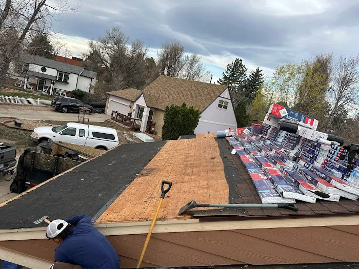 Falcon's Eye Roofing Picture 10