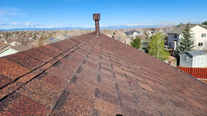 Jack the Roofer Picture 2