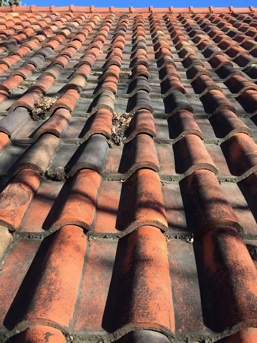 Jack the Roofer Picture 3