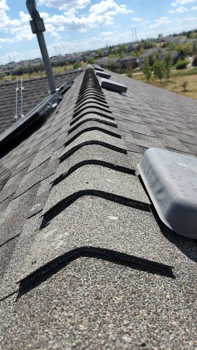 Jack the Roofer Picture 6