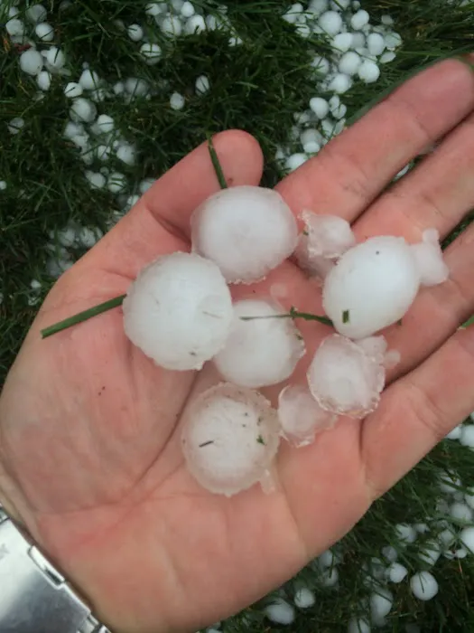 Artisan Construction Company, Inc. Picture 6