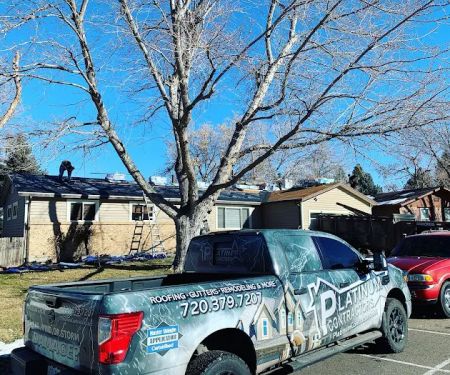 Platinum Roofing