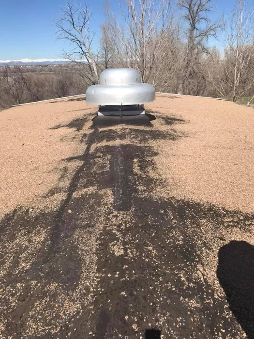 Bear Paw Roofing Picture 7