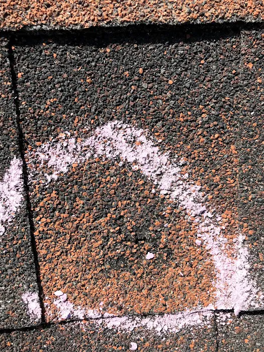 Bear Paw Roofing Picture 6