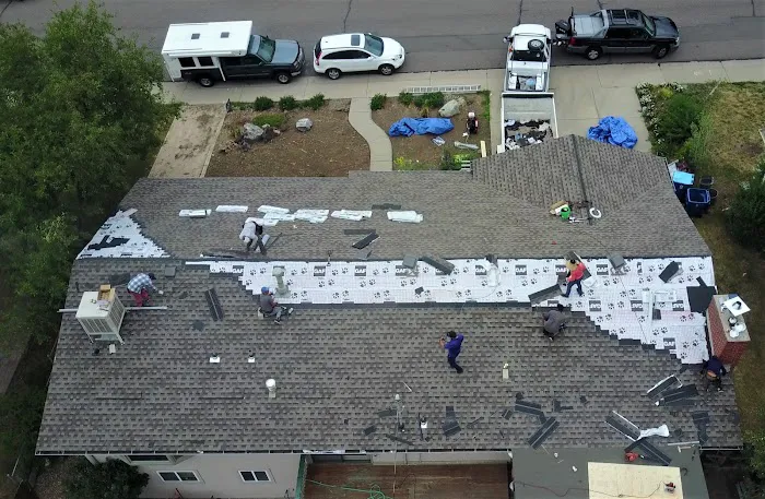 Oh My Roof Picture 1