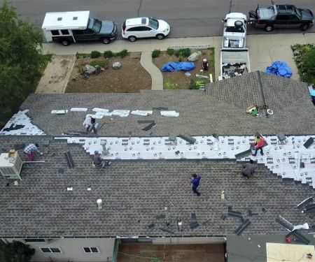 Oh My Roof