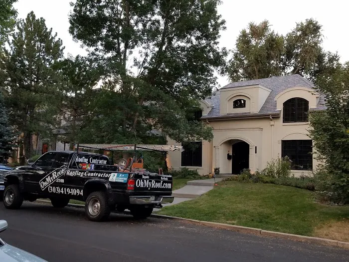 Oh My Roof Picture 8