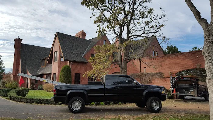 Oh My Roof Picture 6