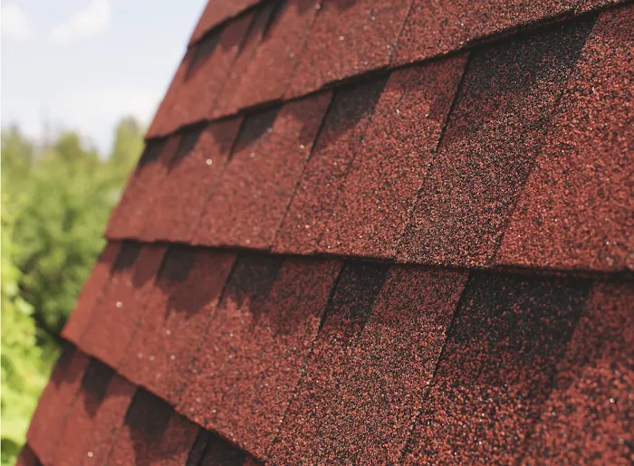 Reliable Exteriors Group Picture 9