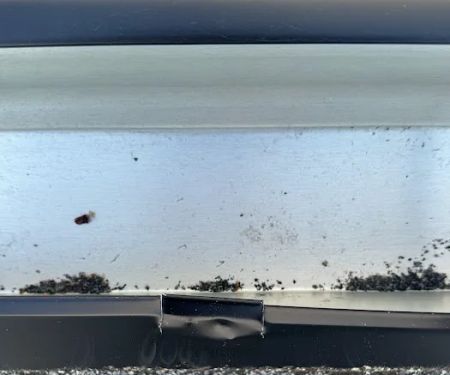 Weatherguard Roofing & Restoration of Englewood