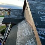 Raptor Roofing of Castle Rock