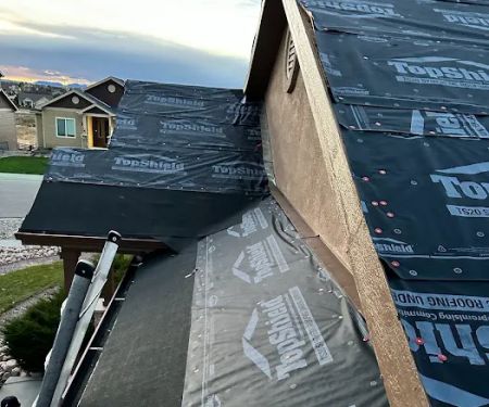 Raptor Roofing of Castle Rock