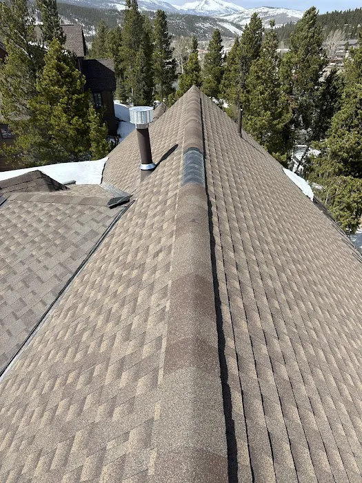Force 5 Roofing Inc. Picture 3