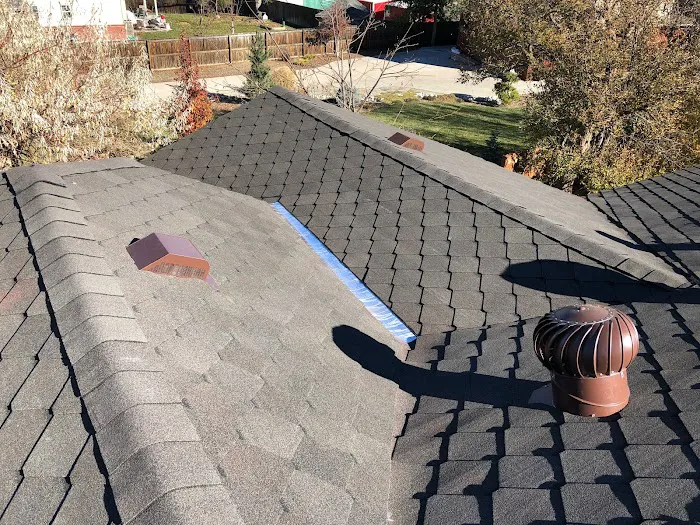 Roofing & Exteriors Picture 9