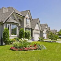 Tectum Construction and Roofing ico