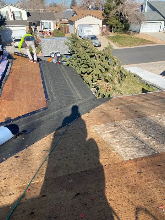 High Plains Renovation LTD Picture 10