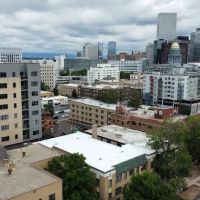 Big Bear Roofing ico