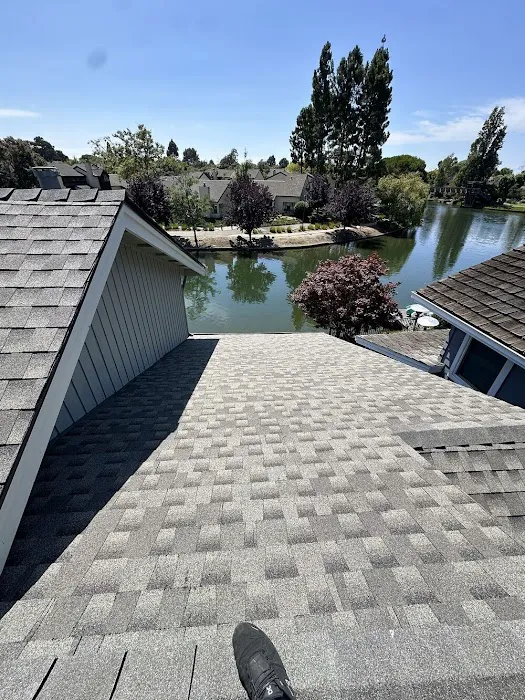 Apollo Roofing Company Picture 8