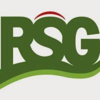 Roofing Service Group ico