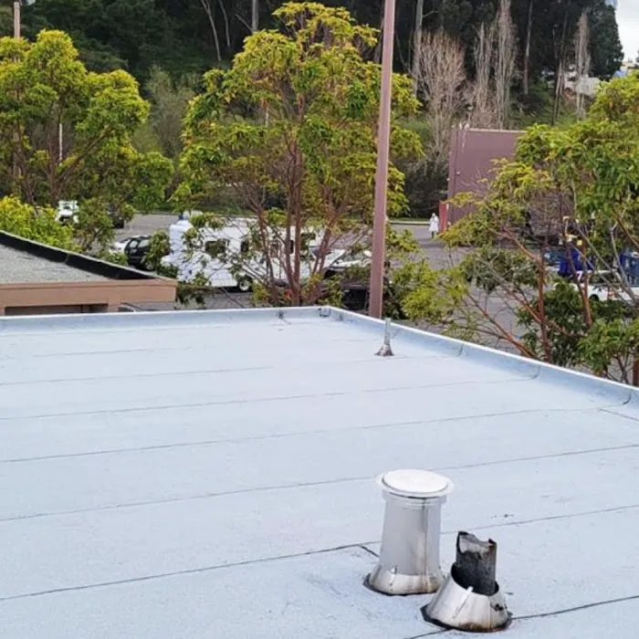 Marina Bay Roofing Picture 9