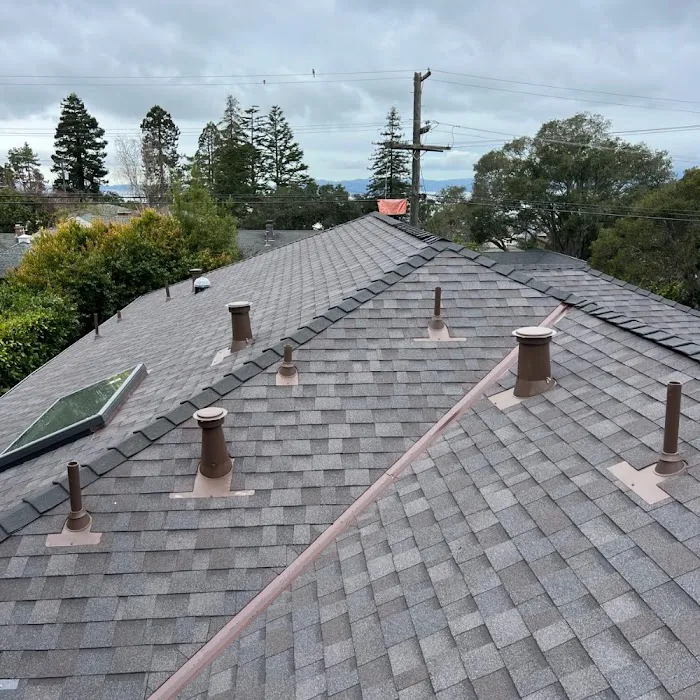 Marina Bay Roofing Picture 3