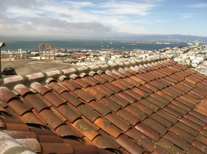 Lee Family Corporation Picture 2