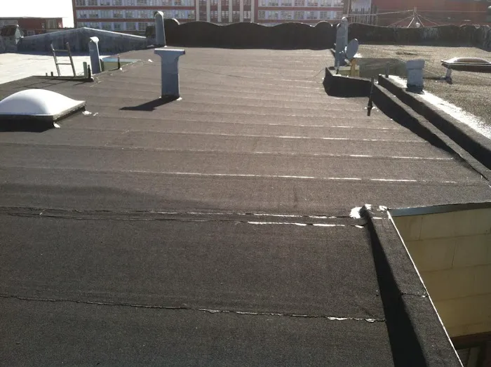 Lee Family Corporation Picture 4