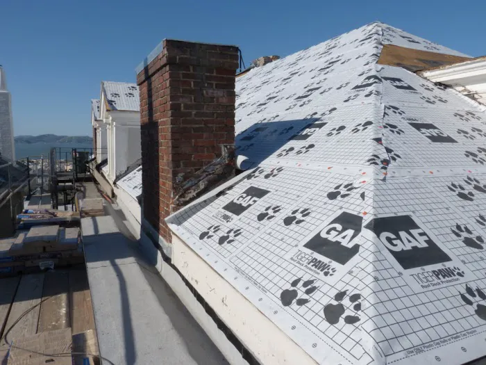 Eco Smart Roofer Picture 5