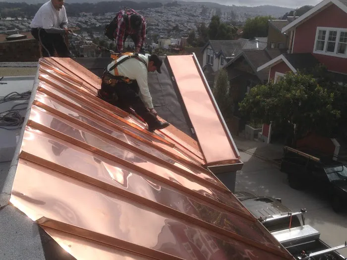 Eco Smart Roofer Picture 1