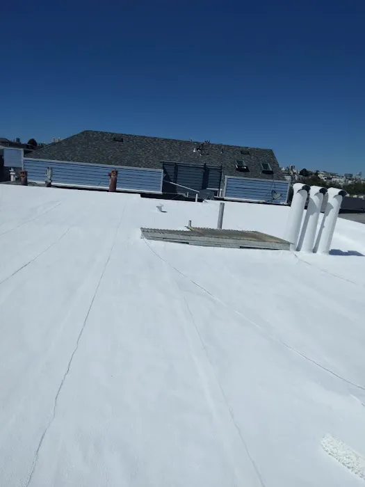 Leo's Roofing Company Picture 4