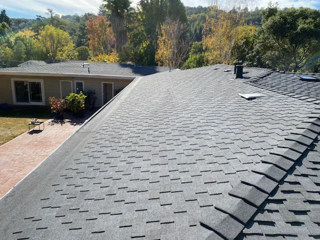 The Last Detail Roofing Picture 1