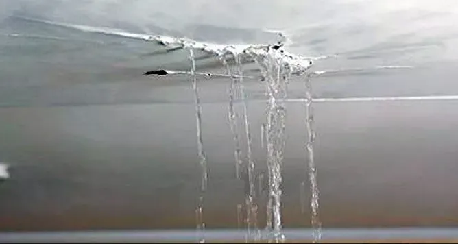 The Last Detail Roofing Picture 7