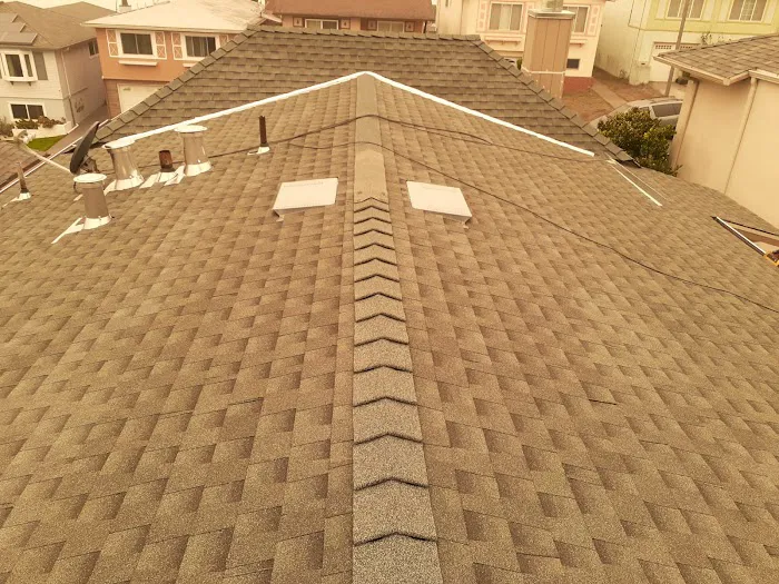 The Last Detail Roofing Picture 5