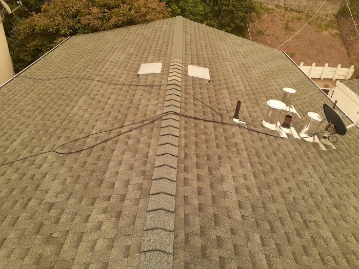 The Last Detail Roofing Picture 6
