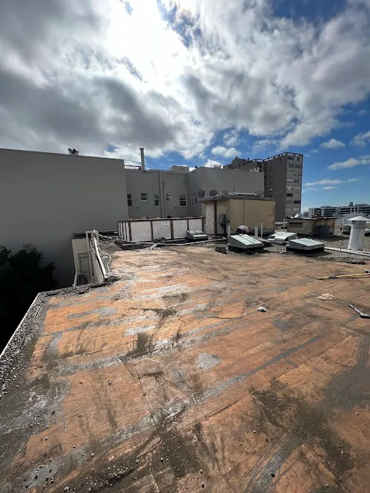 ROOF EXPRESS Picture 8