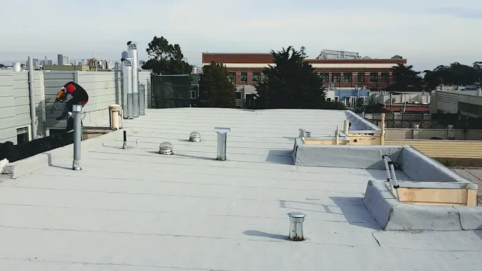 Modern Roofing & Associates Picture 8