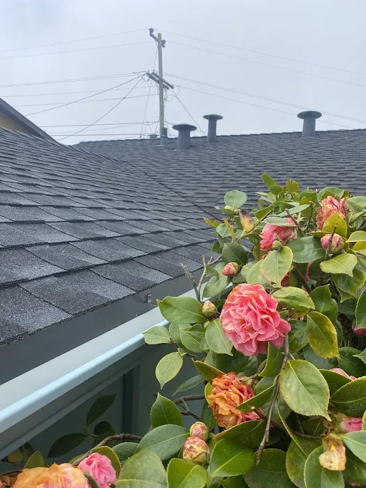 Mr. Roofing, Inc. Picture 9