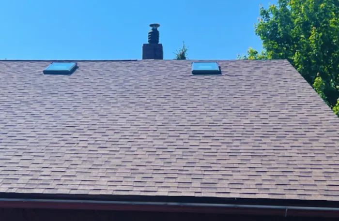 Miami Elite Roof Leak Picture 2