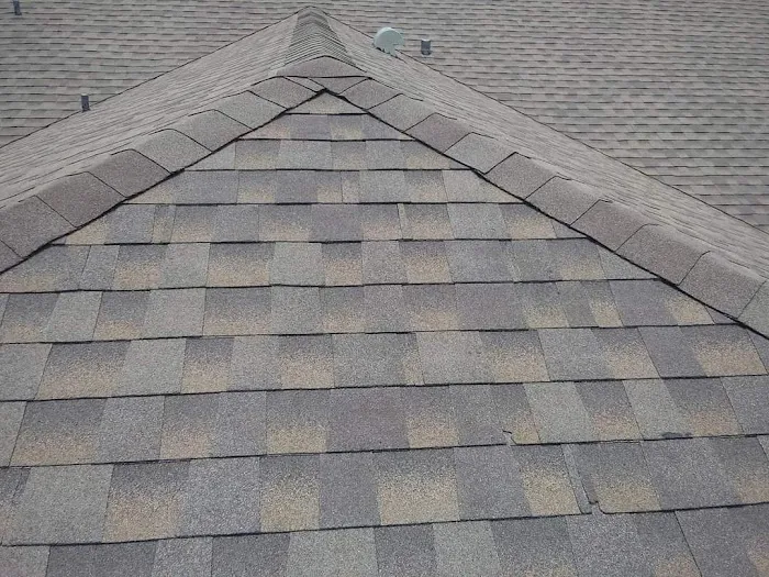 Roofing Royale Picture 7