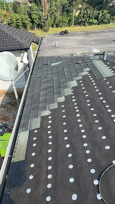 Roofing Royale Picture 3