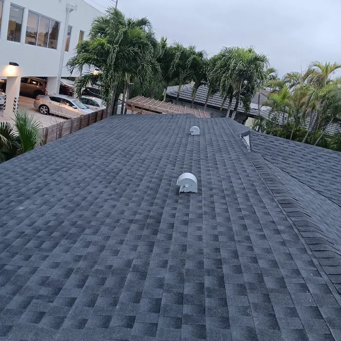 Roofing Royale Picture 4