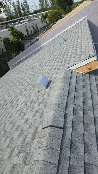 Roofing Royale Picture 10