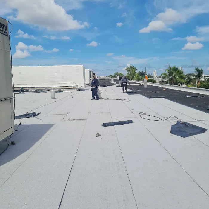 Thomas roofer and repair Picture 4