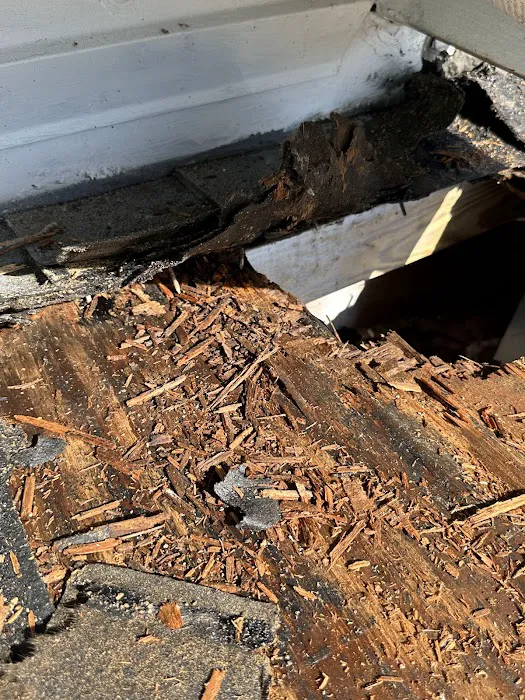 Thomas roofer and repair Picture 3